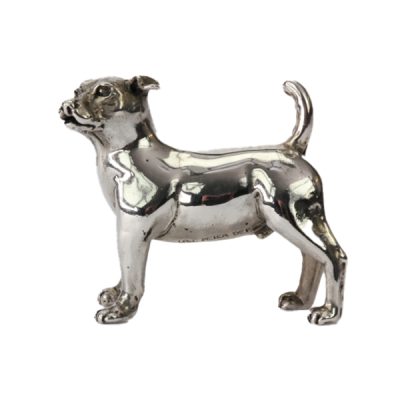 jackrussell